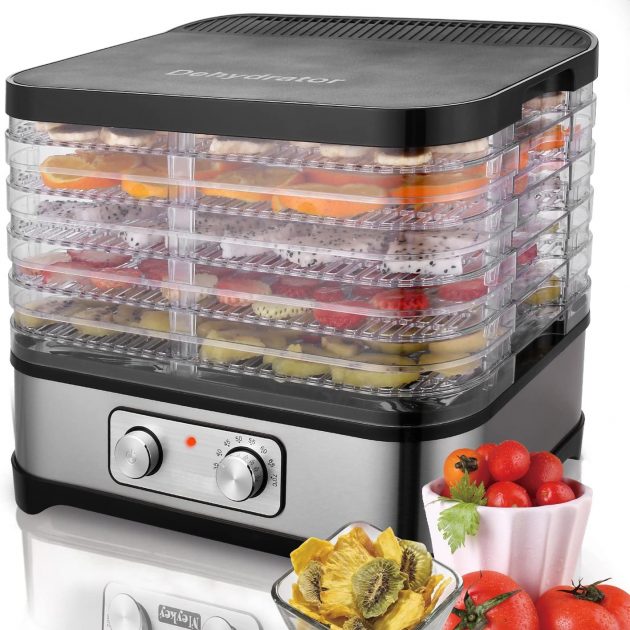 Dehydrator & Food Dryer with Temperature Controller, Fruit-Meat Dryer Food Preserver
